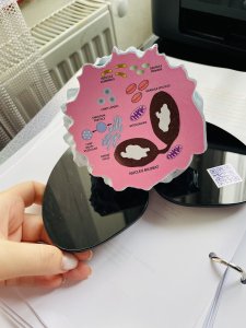 Meditatii Biologie/Anatomie pentru Admitere Medicin