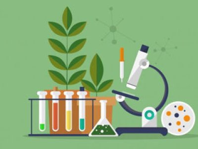 Meditatii biologie pentru admiterea la facultatile de medicina