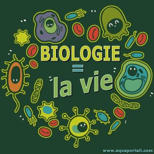 MEDITAȚII BIOLOGIE