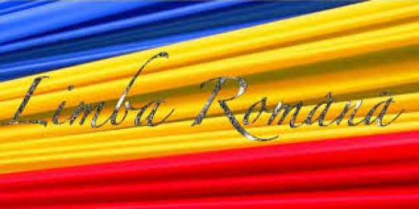 Meditatii la Limba și Literatura română