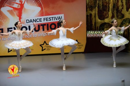 Cursuri de dans ,balet,gimnastica