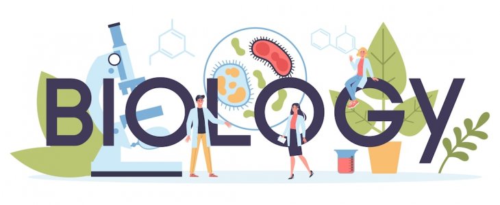 Ofer meditatii biologie