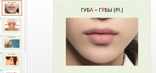 Русский язык и литература