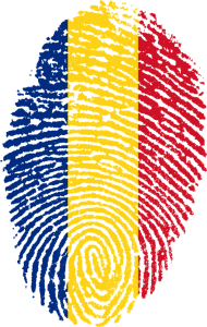 Meditații limba și literatura română