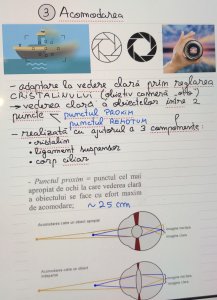 Pregatire Bac anatomie si admitere Medicina