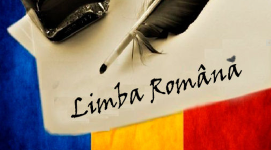 ???? Pregătire de Excelență pentru BAC: Limba și Literatura Română ????