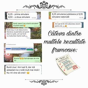 Profesor Masterand Litere UAIC | Meditații Limba Română Evaluare Națională și BAC