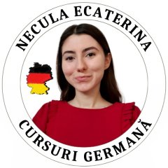 Ecaterina Necula PFA